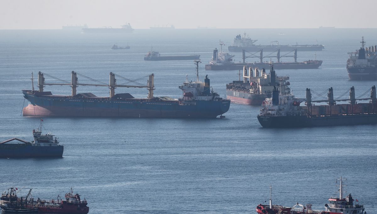 Ukraine : les exportations de céréales bloquées, la Russie accusée de faire peser un risque de famine 