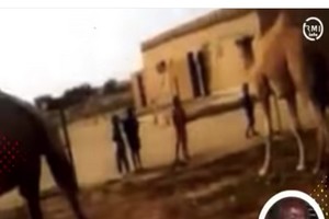 Champ libre par Tijane Bal 