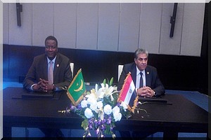 Clôture au Caire (en Egypte) de la 6ème Session extraordinaire de la Conférence Ministérielle Africaine sur l’Environnement [PhotoReportage]