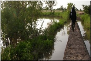 Rosso : Réunion des agriculteurs prévue mardi prochain