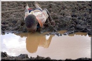 La sécheresse menacerait 49 millions de personnes en Afrique