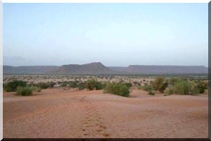 Des villageois organisent une marche en direction de Kiffa pour protester contre le retard de réhabilitation d’un barrage