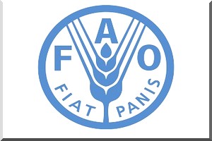FAO : Les conflits et les crises prolongées entravent les progrès réalisés pour lutter contre la faim au Proche-Orient et en Afrique du Nord