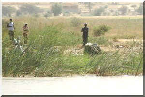 Carnet de route/Environnement. Faune et flore, Dakar et Nouakchott accordent leurs violons