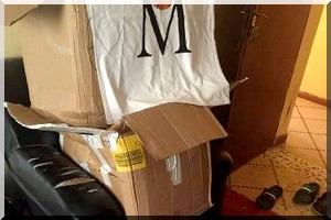 Basket- ball : Les pros boostent balle au panier