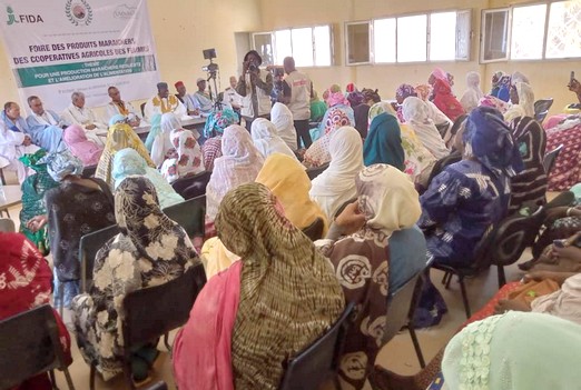Brakna - Boghé : les coopératives féminines exposent leurs produits - [Photoreportage]