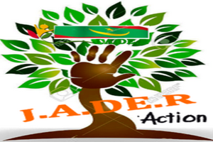 Rosso-développement local: création de l’initiative jeunesse en action pour le développement de Rosso