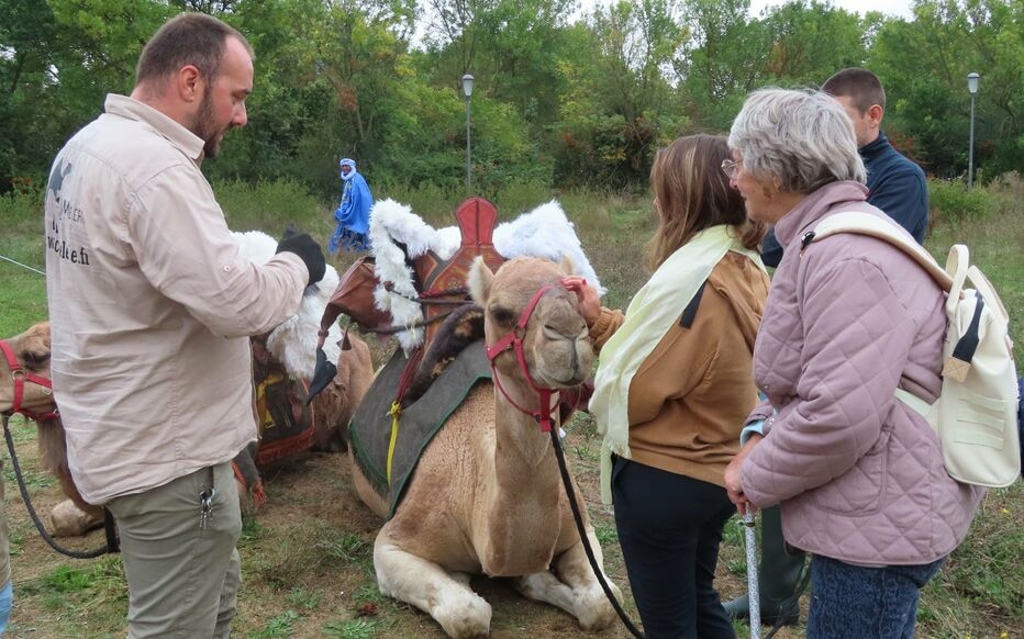 Les Mureaux : des dromadaires pour promouvoir le tourisme en Mauritanie