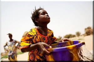 Le drame des paysans de Kaédi : La famine menace 