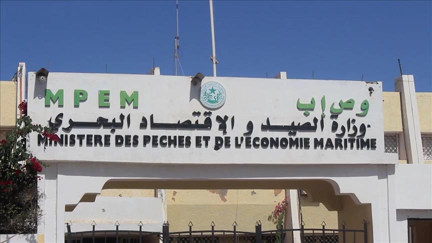 Le MPEM décide de mettre fin à la pêche de la courbine non réglementée ou 