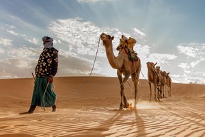 Mauritanie : une nouvelle réserve environnementale au nord du pays