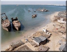 Pêche : A Nouadhibou, ventre vide n’a point d’oreilles.  