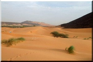 Randonnée pédestre pour retraités et diabétiques [PhotosReportage]