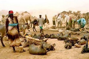 Des habitants de Zem-Zem évacués au centre de santé de R’Kiz à la suite d’une contamination du puits du village