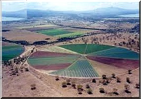 Accaparement des terres dans le continent africain :