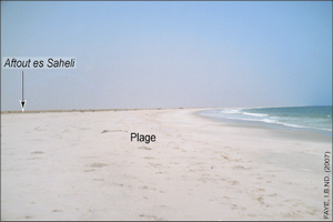 Risques d'inondation majeure de Nouakchott et impacts associés