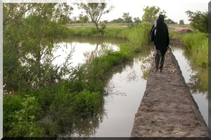 Quatre propriétaires fonciers écroués à la prison d’Aleg