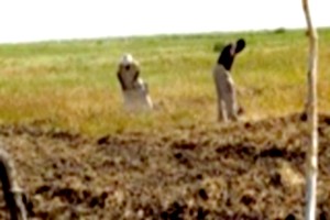 L’esclavage agricole aux bords du Lac R’Kiz