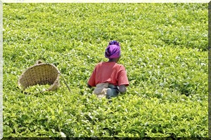 Un journaliste met à nu le complexe géostratégique de l’Afrique à travers un livre