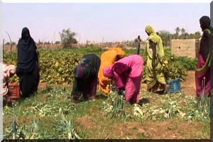21 millions de dollars pour réduire l’insécurité alimentaire et la pauvreté rurale