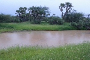 Aleg : Le corps sans vie du garçon noyé retrouvé au bord du canal