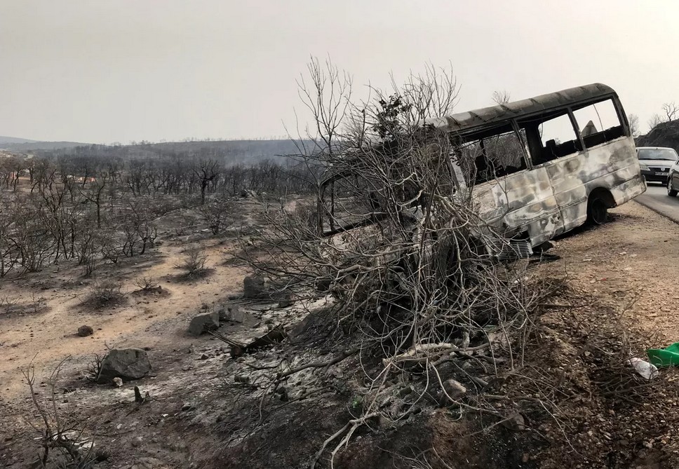 Algérie : au moins 43 personnes ont péri dans les derniers incendies