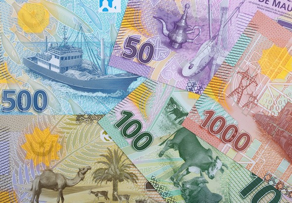 Budget 2025 : Erreurs et incohérences. De la qualité du contrôle au contrôle de qualité. Par Pr ELY Mustapha