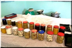 Boghé : Les démonstrations Culinaires sur la Patate Douce 