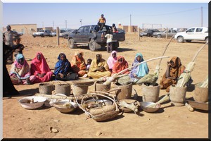 Vulgarisation agricole & formation qualifiante : L’ONG CAMM s’investit à Achram [PhotoReportage]