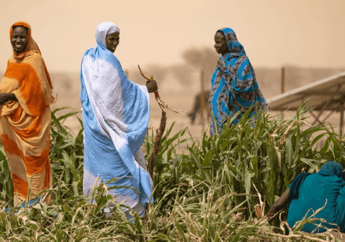 Le gouvernement mauritanien estime satisfaisante le campagne agricole 2024-2025