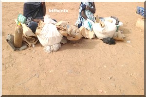 Attention- Assaba : Les causes du cancer, présents dans chaque maison