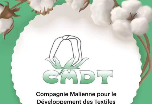 Mali : Conakry, une voie de contournement du coton au détriment de Nouakchott 