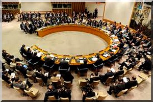 Les pays africains contestent la nomination d'un expert ONU sur les LGBT 