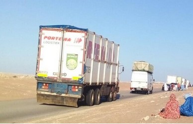 La recrudescence des opérations de contrebande de poulets coûte des milliards au Trésor public