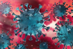 Mauritanie, Covid-19, point du jour : 02 décès et 201 nouveaux cas (Total 2424)