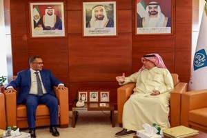 Création d’un conseil d’affaires mauritano-émirati