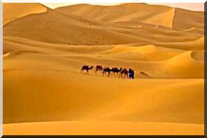 Une menace d’insécurité alimentaire plane sur le Sahel / Le CILSS en quête d’une solution