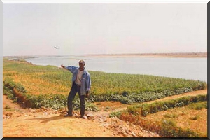 Diaguily, sur les rives du fleuve Sénégal : le foncier qui divise [Audio]