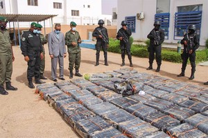 Saisie d’une tonne et demie de chanvre indien et l’arrestation de six éléments d’un réseau de trafiquants