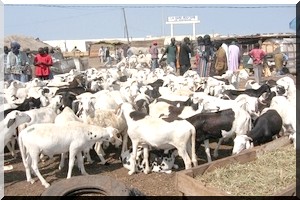 Le Sénégal cherche à coordonner avec la Mauritanie l’acheminement vers ses marchés...
