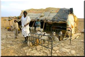 Deux cent cinquante enfants délaissés