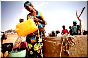 L'ONU et ses partenaires lancent un plan humanitaire sur trois ans en faveur du Sahel [Communiqué de presse FAO]