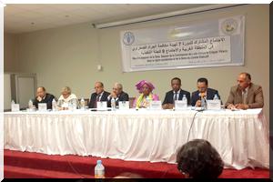 Coopération entre la FAO et la Mauritanie dans la surveillance et la lutte antiacridienne