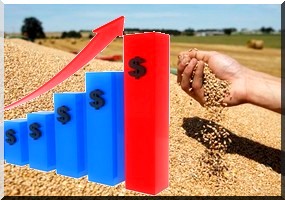 La Banque mondiale sonne l'alarme face à la flambée des prix alimentaires 