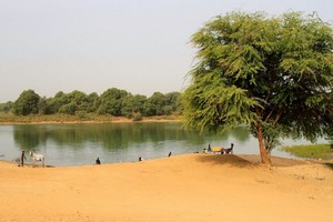 Mauritanie : encore des expropriations des terres cette fois-ci à Ngawlé, 13 arrestations | Senalioune