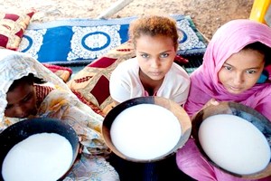 Mauritanie: le gavage des jeunes filles, une pratique qui a vécu 