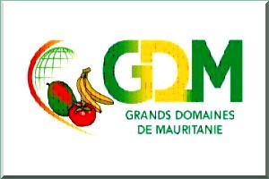 Les Grands domaines de Mauritanie (Gdm) vont investir 16 millions de dollars dans la banane