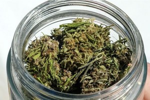 Près de 12 tonnes de haschisch saisies au Maroc près de la frontière avec la Mauritanie