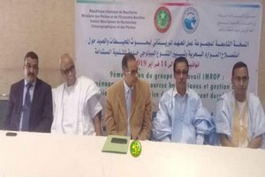 Clôture des travaux de la 9ème édition du groupe de travail de l’IMROP