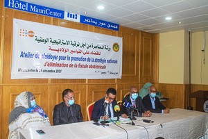 Journée de plaidoyer pour la promotion de la stratégie nationale pour l’élimination de la Fistule Obstétricale 